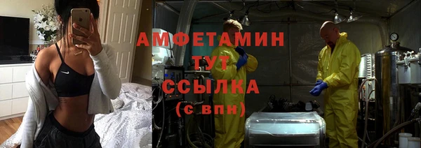 ALPHA PVP Ельня
