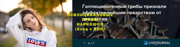 2c-b Елабуга