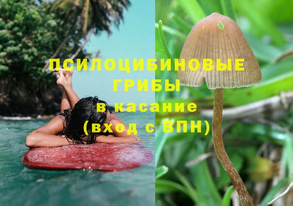 2c-b Елабуга