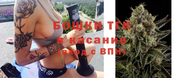 ALPHA PVP Ельня