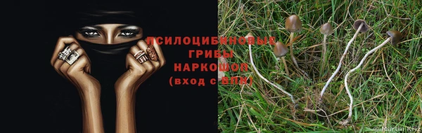 2c-b Елабуга