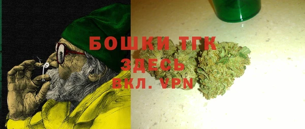 ALPHA PVP Ельня