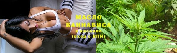 ALPHA PVP Ельня